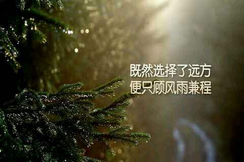 云南函授學(xué)費